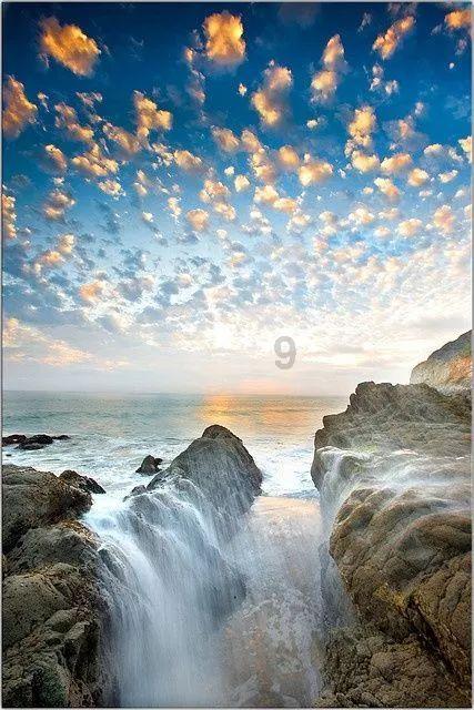 纽卡当地媒体:拜仁对特里皮尔感兴趣,埃迪-豪不愿让球员离开