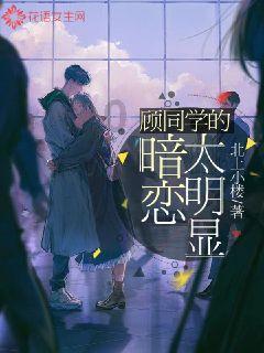 弹弹堂大冒险