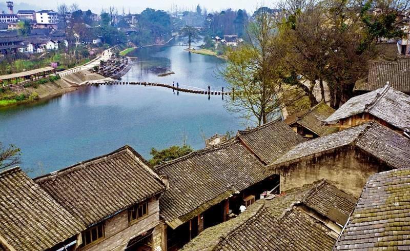 细胞分裂5
